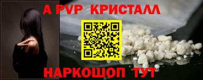 стафф Шелехов