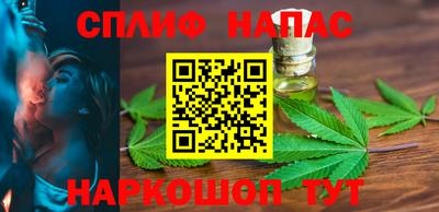 стафф Шелехов