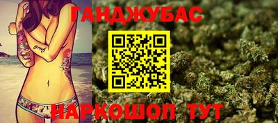 стафф Шелехов