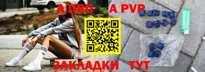 стафф Шелехов