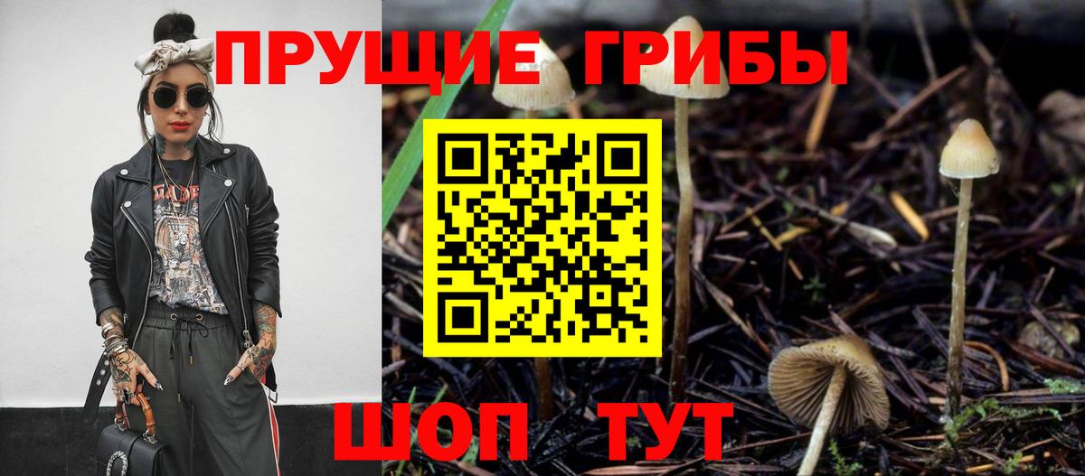 Галлюциногенные грибы прущие грибы Боровичи